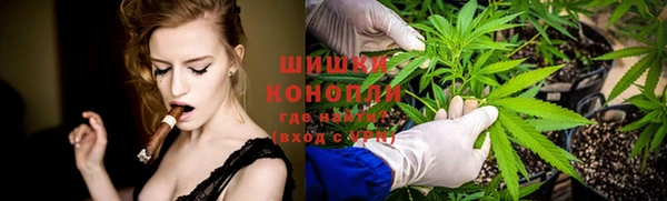 хмурый Абаза