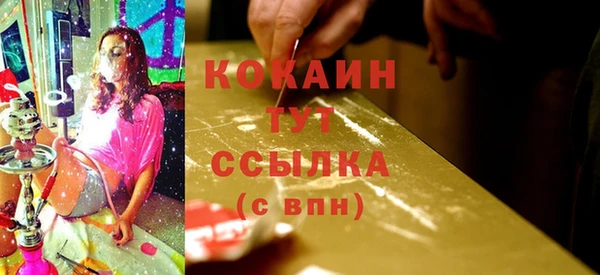 хмурый Абаза