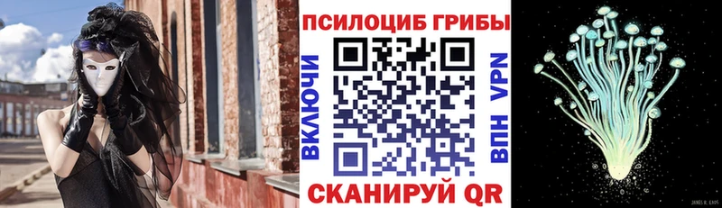 где найти наркотики  маркетплейс официальный сайт  Галлюциногенные грибы Psilocybine cubensis  Сысерть 